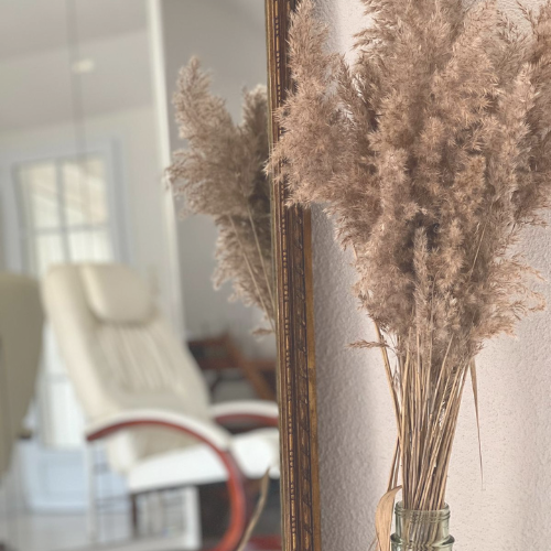 Neurofeedback dynamique Biscarrosse